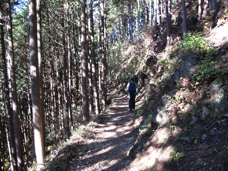 20151127hike (209)